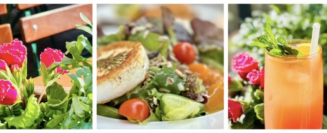 Frühling im Straubi-Garten